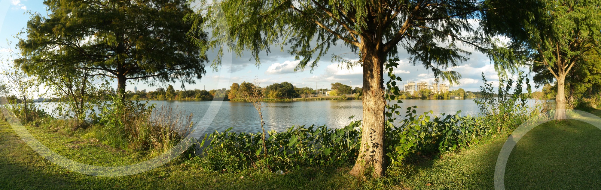 Lady Bird Town Lake
