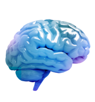 neurology
