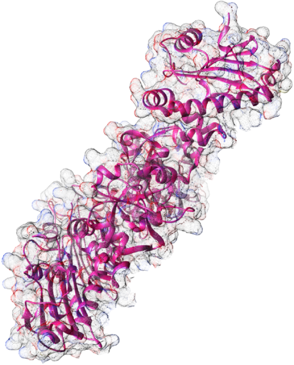 hsp90